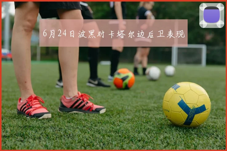 6月24日波黑对卡塔尔边后卫表现