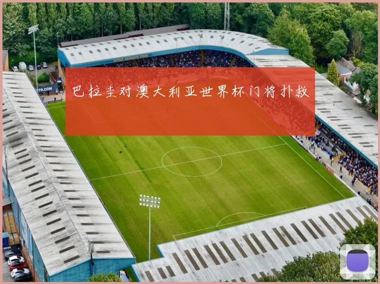 巴拉圭对澳大利亚世界杯门将扑救
