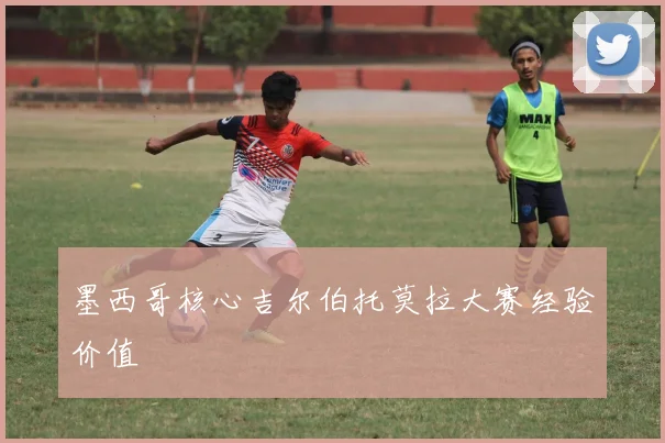 墨西哥核心吉尔伯托莫拉大赛经验价值