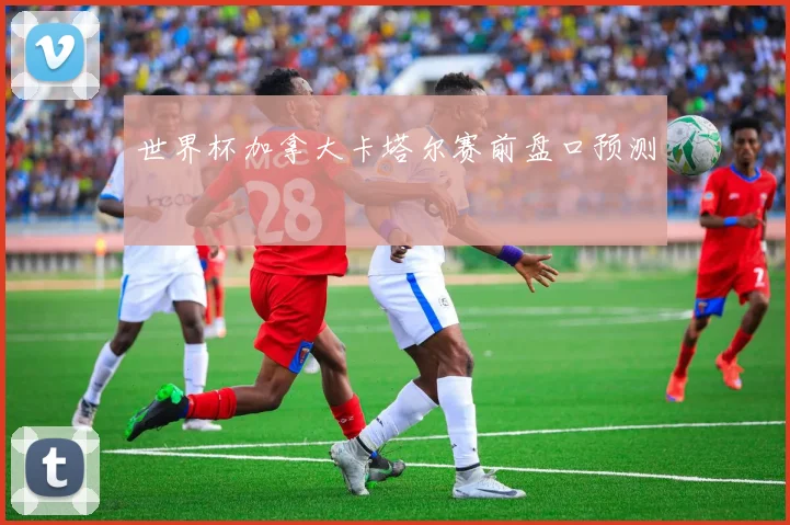 世界杯加拿大卡塔尔赛前盘口预测