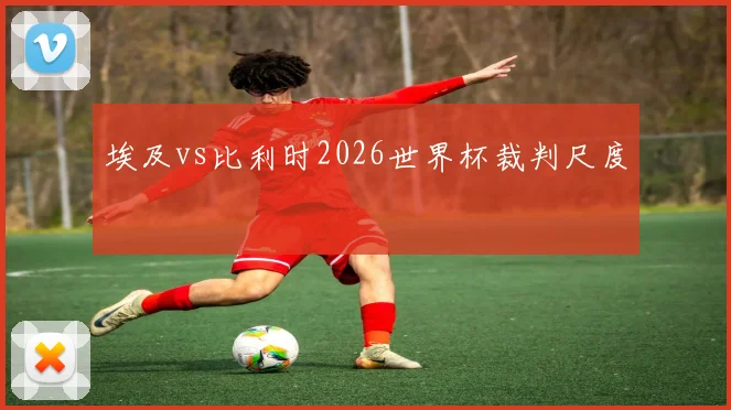 埃及vs比利时2026世界杯裁判尺度