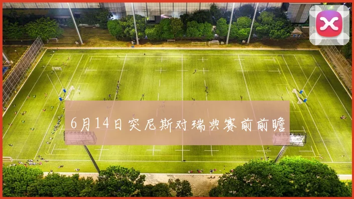 6月14日突尼斯对瑞典赛前前瞻