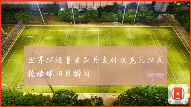 世界杯格鲁吉亚丹麦对攻克瓦拉反抢造球泪目瞬间